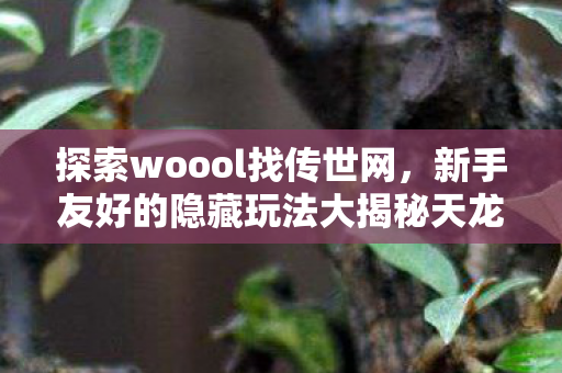 新手友好的隐藏玩法大揭秘天龙私服图片