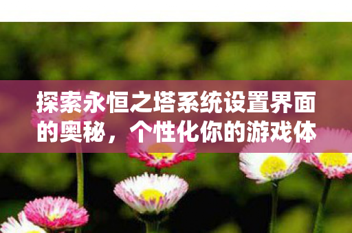 探索永恒之塔系统设置界面的奥秘图片