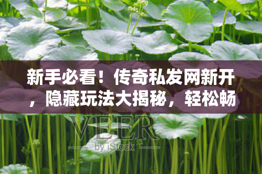 轻松畅玩传奇世界天龙私服图片