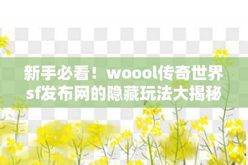 woool传奇世界sf发布网的隐藏玩法大揭秘图片