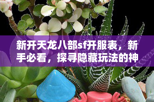 探寻隐藏玩法的神秘游戏之旅天龙八部私服图片