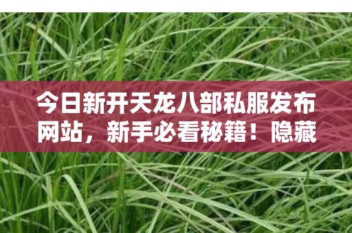 今日新开天龙八部私服发布网站图片