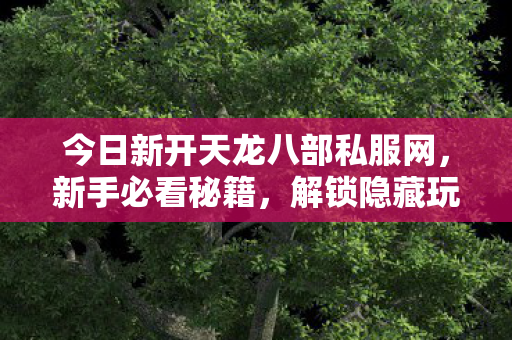 今日新开天龙八部私服网图片