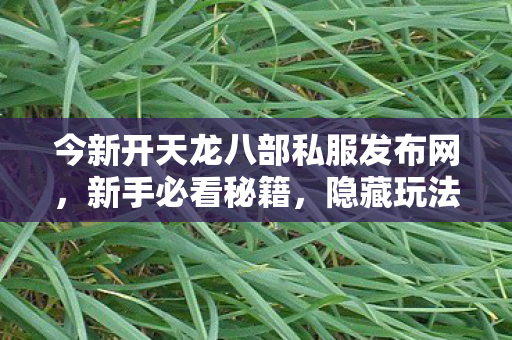 今新开天龙八部私服发布网图片
