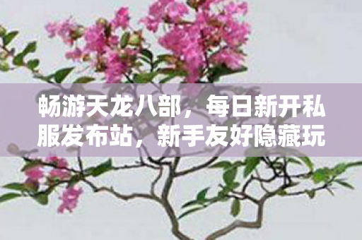 新手友好隐藏玩法大揭秘天龙私服图片