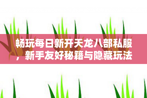 新手友好秘籍与隐藏玩法大揭秘天龙私服图片
