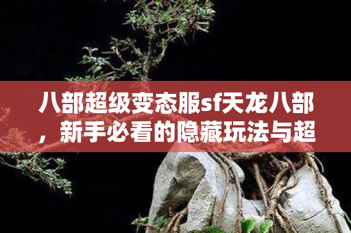 新手必看的隐藏玩法与超强攻略天龙私服图片