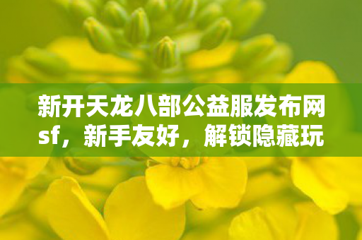 解锁隐藏玩法的宝藏世界天龙八部私服图片