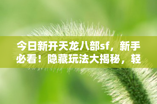 今日新开天龙八部sf图片