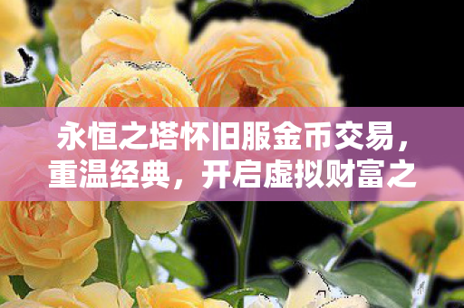 永恒之塔怀旧服金币交易图片