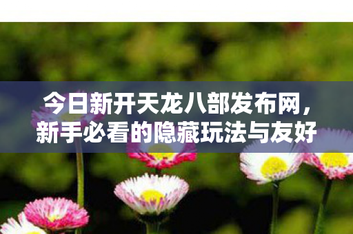 新手必看的隐藏玩法与友好指南天龙八部私服图片