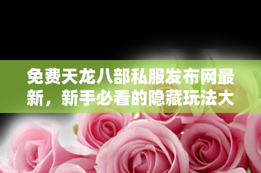 新手必看的隐藏玩法大揭秘天龙私服图片