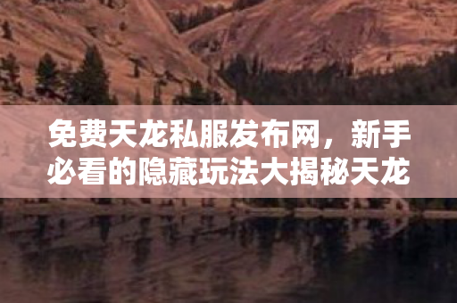 新手必看的隐藏玩法大揭秘天龙私服图片