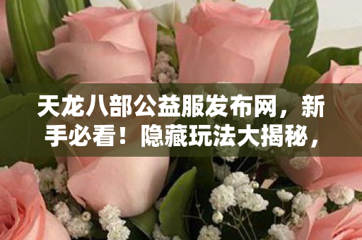 天龙八部公益服发布网图片