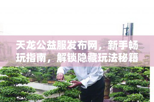 天龙公益服发布网图片