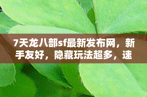 7天龙八部sf最新发布网图片