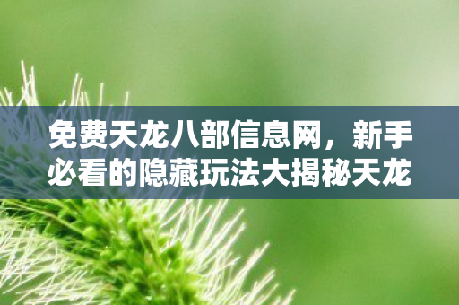 新手必看的隐藏玩法大揭秘天龙八部私服图片