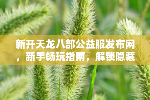 解锁隐藏玩法大揭秘天龙私服图片