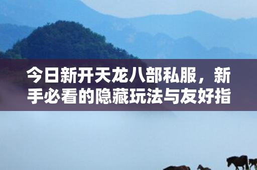 新手必看的隐藏玩法与友好指南天龙私服图片
