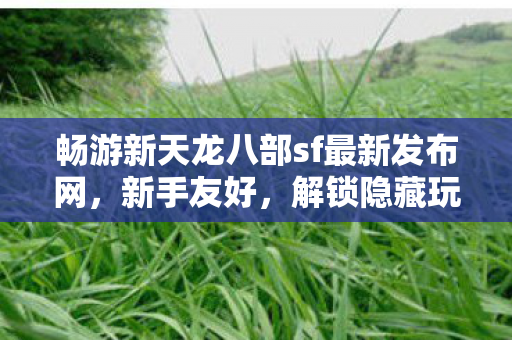 解锁隐藏玩法的梦幻之旅天龙私服图片