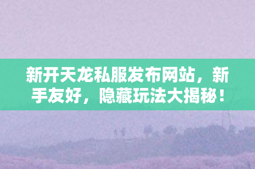 新开天龙私服发布网站图片