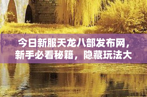 今日新服天龙八部发布网图片