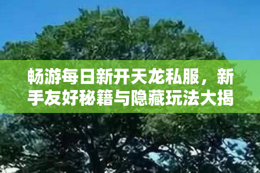 新手友好秘籍与隐藏玩法大揭秘天龙私服图片