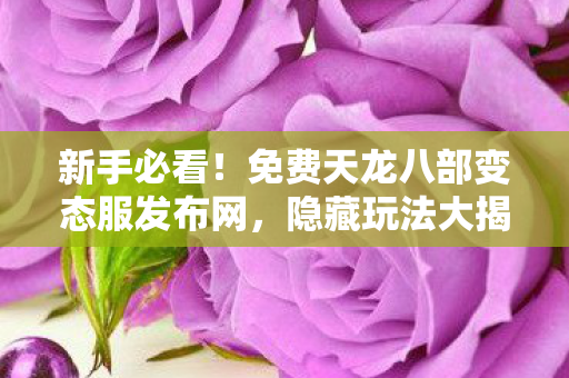 免费天龙八部变态服发布网图片