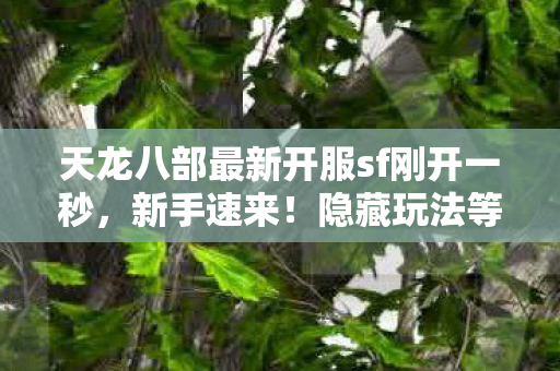 天龙八部最新开服sf刚开一秒图片