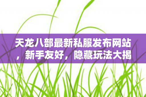 天龙八部最新私服发布网站图片