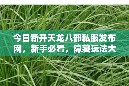 今日新开天龙八部私服发布网图片