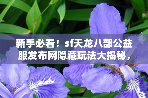sf天龙八部公益服发布网隐藏玩法大揭秘图片