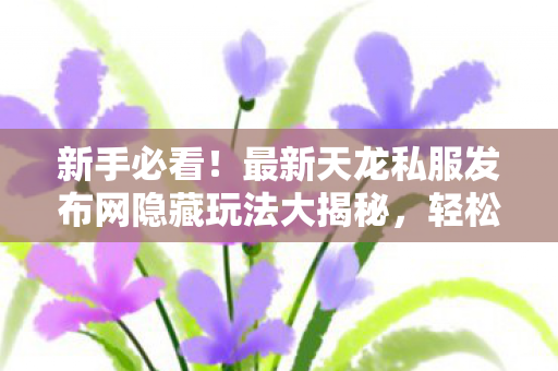 最新天龙私服发布网隐藏玩法大揭秘图片