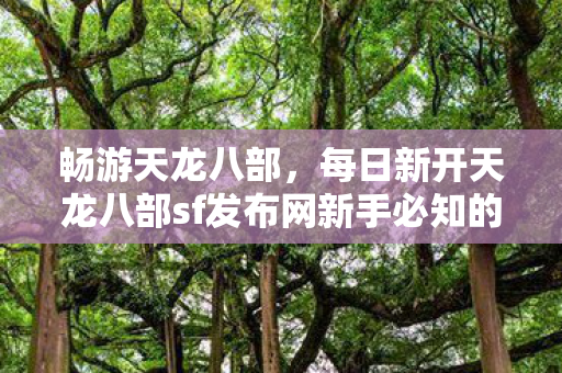 每日新开天龙八部sf发布网新手必知的隐藏玩法大揭秘天龙私服图片