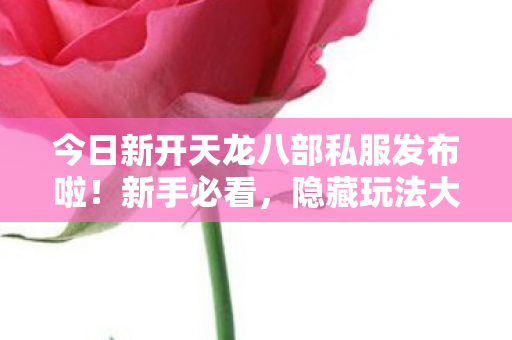 今日新开天龙八部私服发布啦图片