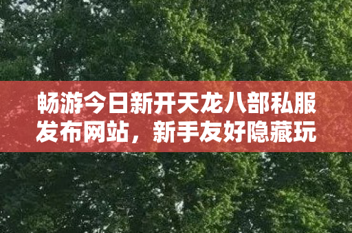 新手友好隐藏玩法大揭秘天龙八部私服图片
