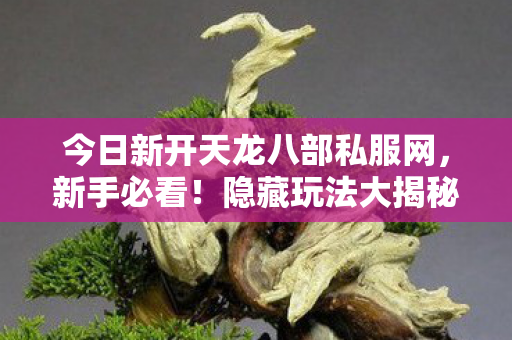 今日新开天龙八部私服网图片