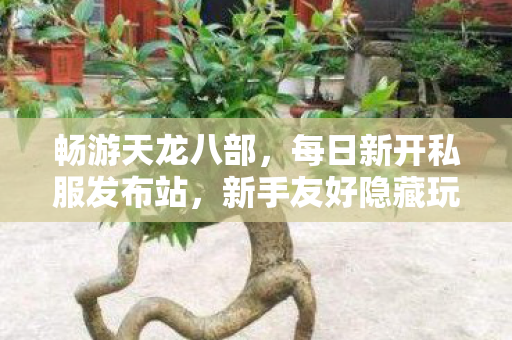 新手友好隐藏玩法大揭秘天龙八部私服图片