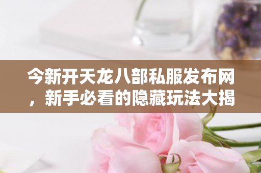 新手必看的隐藏玩法大揭秘天龙私服图片