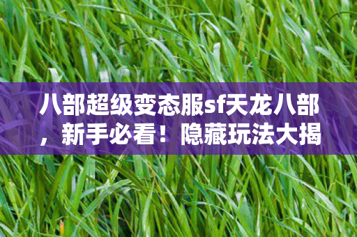 八部超级变态服sf天龙八部图片