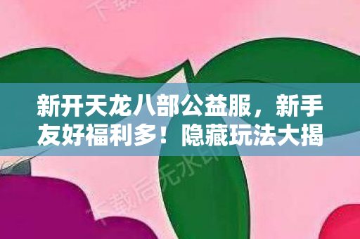 新开天龙八部公益服图片