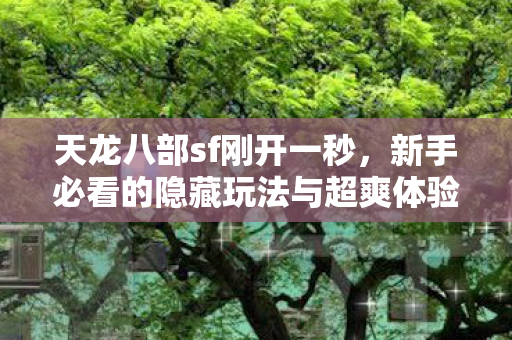 新手必看的隐藏玩法与超爽体验天龙八部私服图片