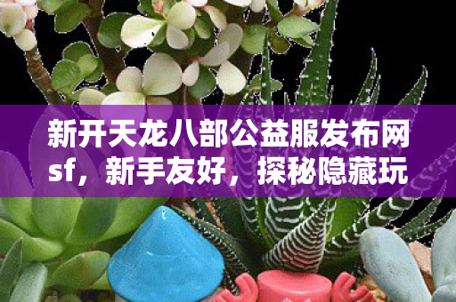 探秘隐藏玩法的绝佳之选天龙私服图片
