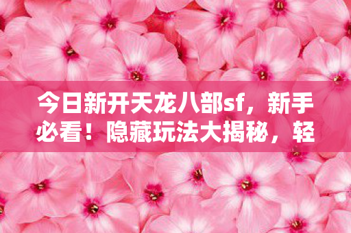 轻松畅玩不是梦天龙私服图片