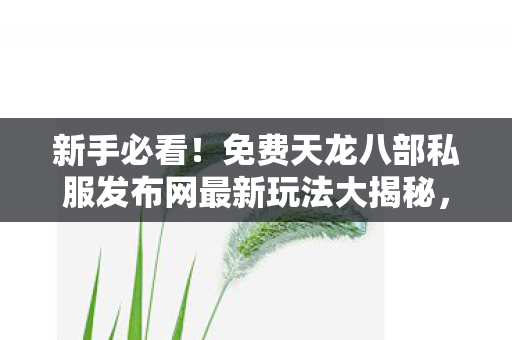 免费天龙八部私服发布网最新玩法大揭秘图片