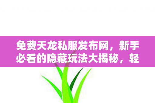 新手必看的隐藏玩法大揭秘图片