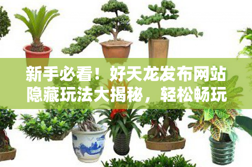 好天龙发布网站隐藏玩法大揭秘图片
