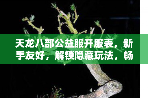 天龙八部公益服开服表图片