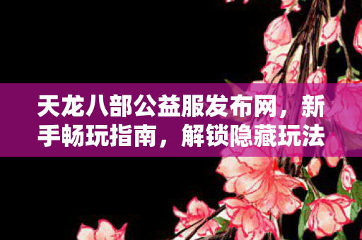 天龙八部公益服发布网图片