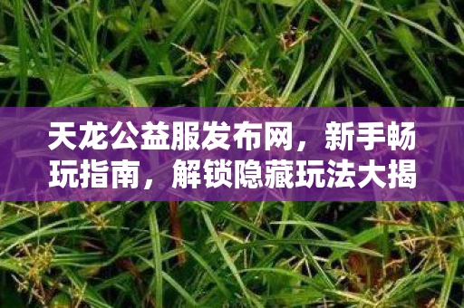 解锁隐藏玩法大揭秘图片